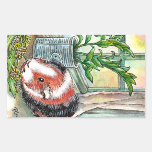 Sticker Rectangulaire Cochon de Guinée par la fenêtre