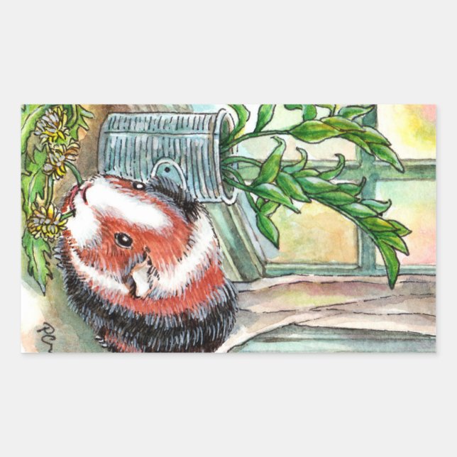 Sticker Rectangulaire Cochon de Guinée par la fenêtre (Devant)