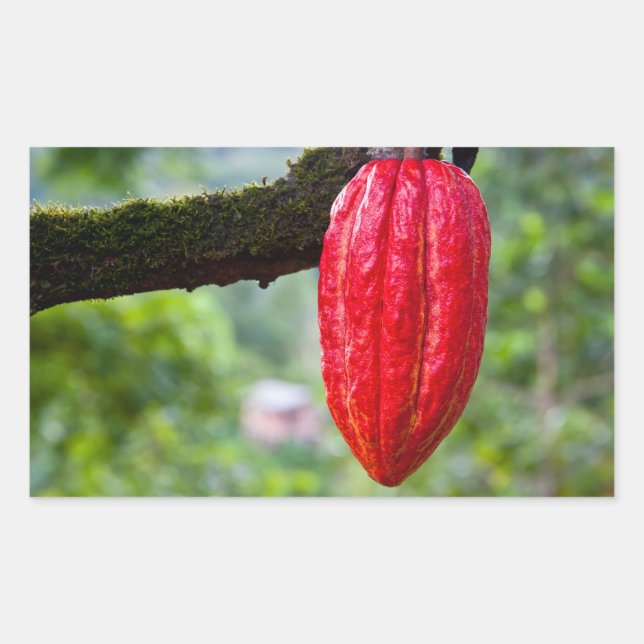 Sticker Rectangulaire cocod (Devant)