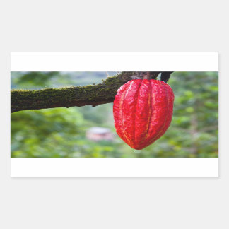 Sticker Rectangulaire cocod
