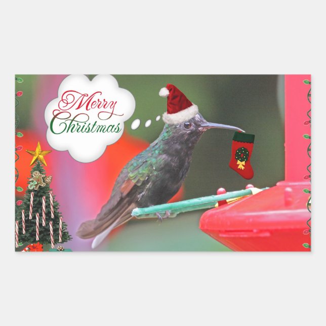 Sticker Rectangulaire Colibri de Joyeux Noël (Devant)