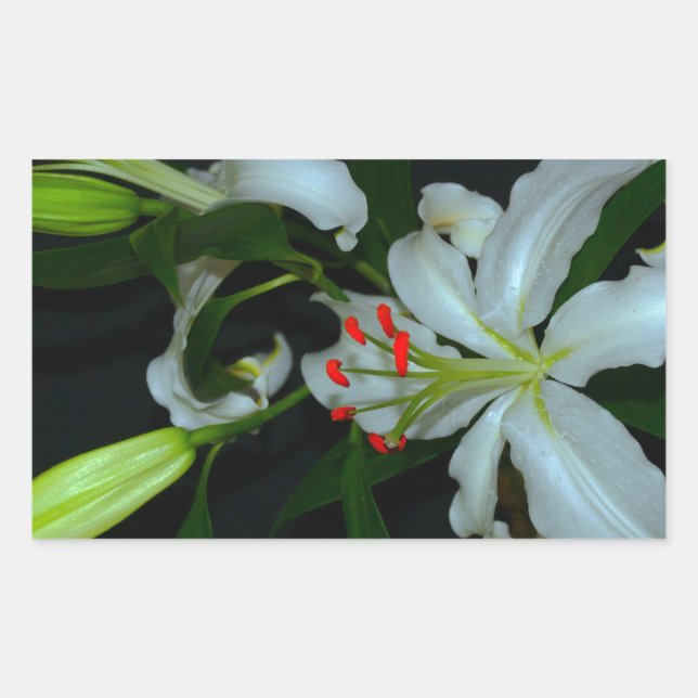 Sticker Rectangulaire Collection Irlandaise de laiton et de fleurs (Devant)