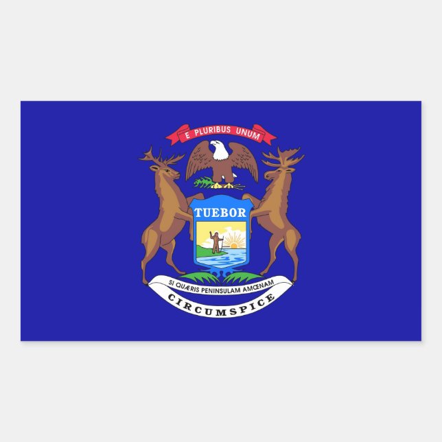 Sticker Rectangulaire Collier rectangle avec Drapeau du Michigan, États- (Devant)
