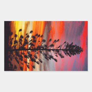 Sticker Rectangulaire Collier silhouette du coucher de soleil Emu Park