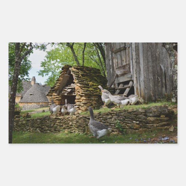 Sticker Rectangulaire Colonne rectangle de ferme d'oies de foie gras tra (Devant)