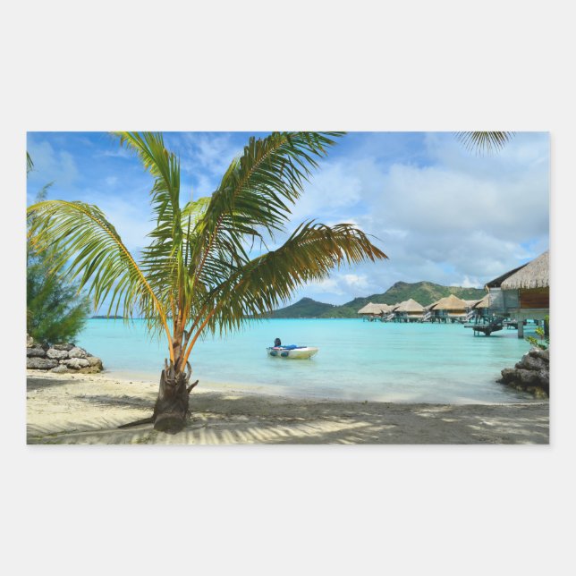 Sticker Rectangulaire Colonne rectangle de palmier et de complexe suraqu (Devant)