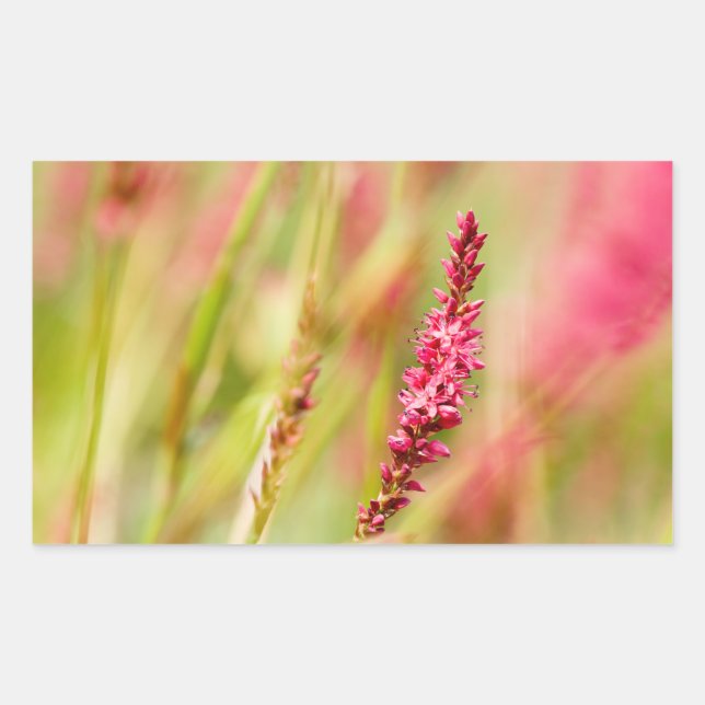 Sticker Rectangulaire coloris (Devant)