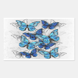 Sticker Rectangulaire Composition des White and Blue Butterflies