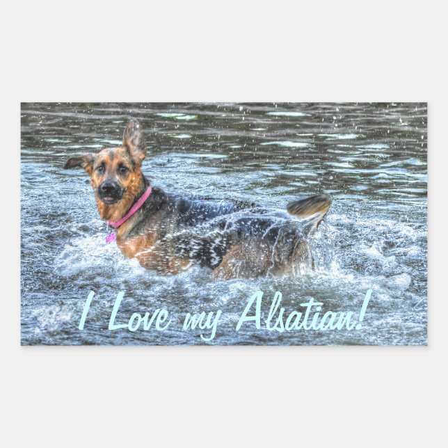 Sticker Rectangulaire Conception de chiens pour les amateurs de moules (Devant)