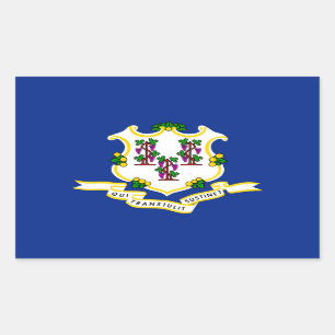 Sticker Rectangulaire Conception de l'indicateur d'état Connecticut