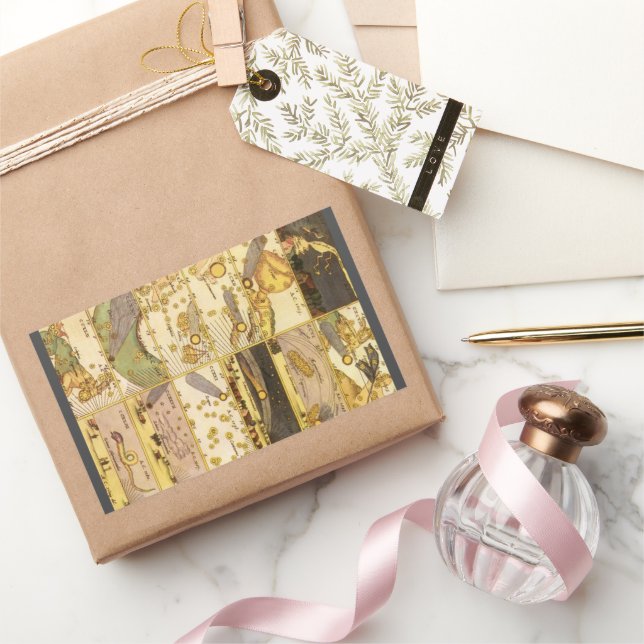 Sticker Rectangulaire Constellations vintages, Astronomie Antique & Étoi (Cadeaux)