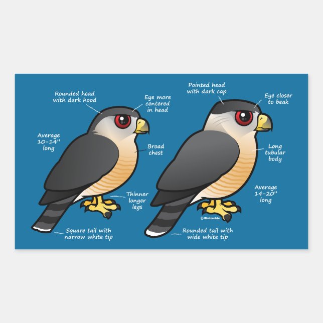 Sticker Rectangulaire Coop v Sharpie (Devant)