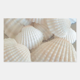 Sticker Rectangulaire Coquillages blancs ensoleillés, Plage d'été Exotiq