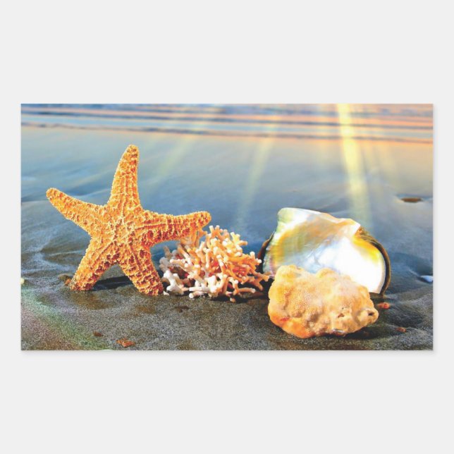 Sticker Rectangulaire Coquillages marins et étoiles de mer sur la plage (Devant)