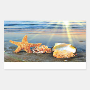 Sticker Rectangulaire Coquillages marins et étoiles de mer sur la plage
