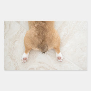 Sticker Rectangulaire corgi butt