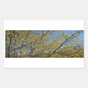 Sticker Rectangulaire Cornelian Cherry
