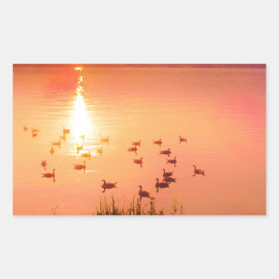 Sticker Rectangulaire Coucher de soleil rose et de lac de pêche