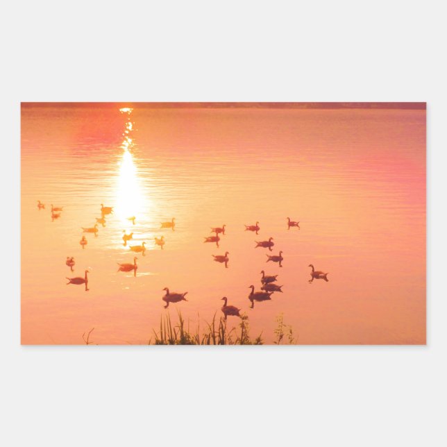 Sticker Rectangulaire Coucher de soleil rose et de lac de pêche (Devant)