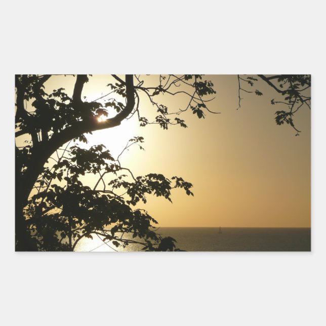 Sticker Rectangulaire Coucher du soleil à travers les arbres II Photogra (Devant)