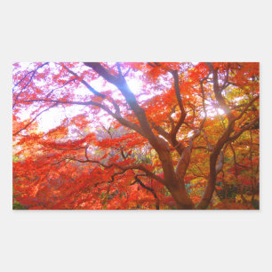 Sticker Rectangulaire Couleur d'automne