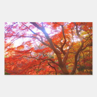 Sticker Rectangulaire Couleur d'automne