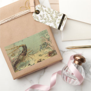 Sticker Rectangulaire Crevettes, Vie marine sous-marine, Animaux marins 