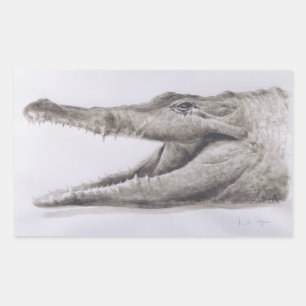Sticker Rectangulaire Crocodile 2005