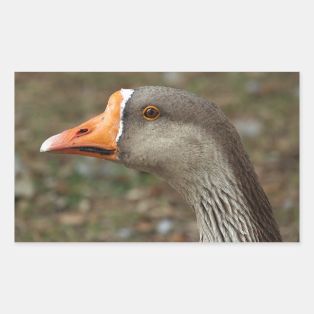 Sticker Rectangulaire Croix du cygne gris (Devant)