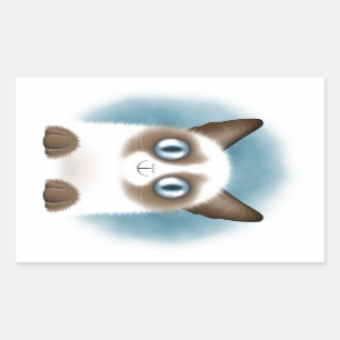 Sticker Rectangulaire Curieux Kitten siamois