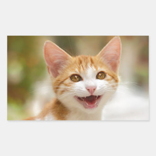 Sticker Rectangulaire Cute Smiling Kitten Face Funny Cat Meow