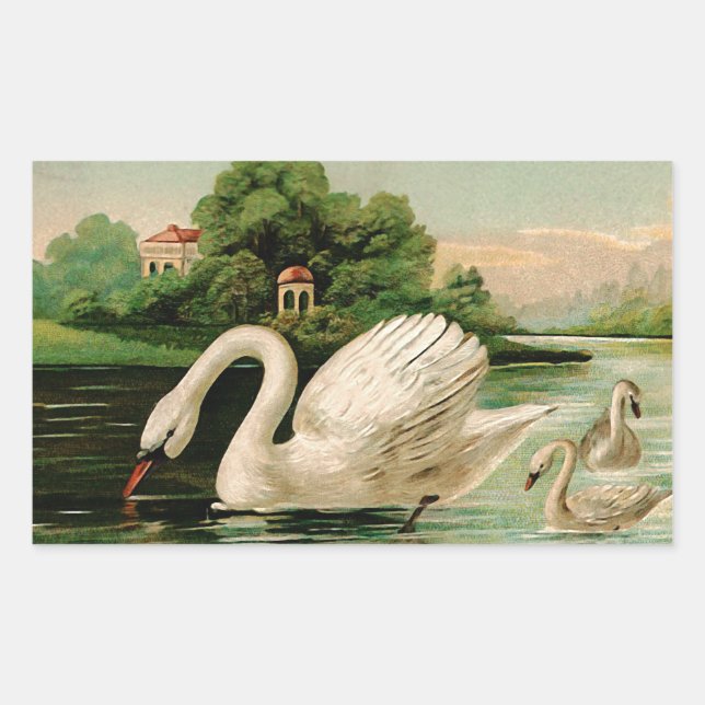 Sticker Rectangulaire Cygne vintage dans le lac (Devant)