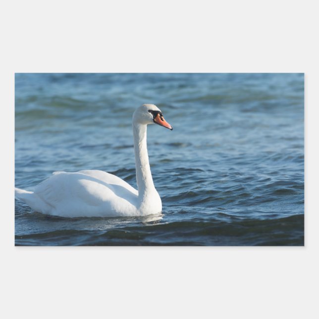 Sticker Rectangulaire Cygnus cygne blanc (Devant)