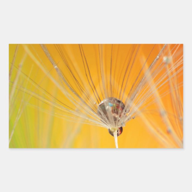 Sticker Rectangulaire Dandelion Fleurs Destiny Peace Love Art (Devant)