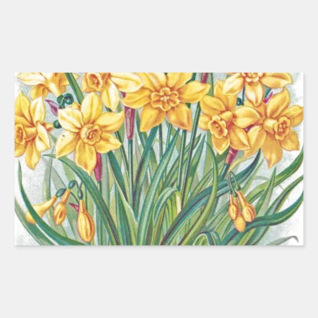 Sticker Rectangulaire date rsvp  fleurs jonquille jaune vintage (Devant)