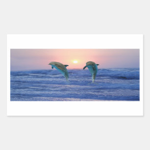 Sticker Rectangulaire Dauphin de verdure au lever du soleil