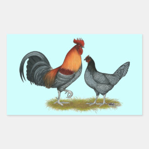 Sticker Rectangulaire Delaware Blue Hen