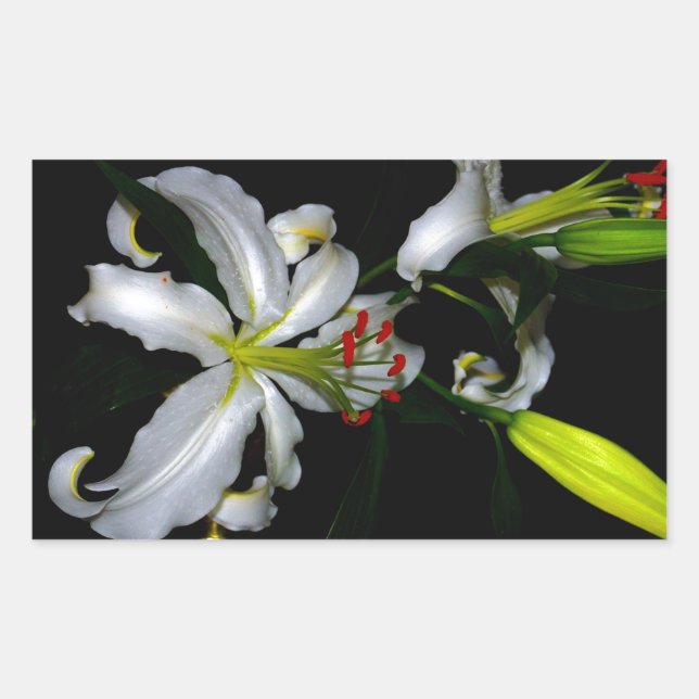 Sticker Rectangulaire Design irlandais en laiton et en fleur (Devant)