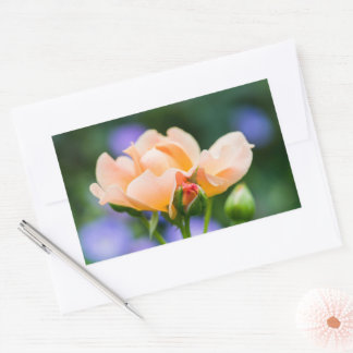 Sticker Rectangulaire désir
