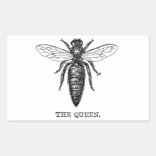 Sticker Rectangulaire Dessin classique de l'illustration de Queen Bee (Devant)