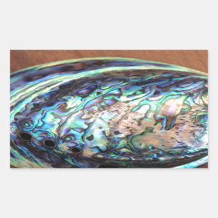 Sticker Rectangulaire Détail de coquillages paua abalone bleu et vert