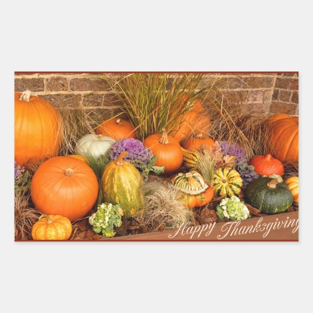 Sticker Rectangulaire Divers citrouilles (Devant)