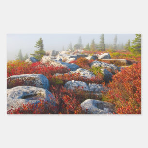 Sticker Rectangulaire Dolly Sods Wilderness Tombe Pittoresque Avec Fog