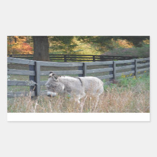 Sticker Rectangulaire Donkey dans un champ d'automne