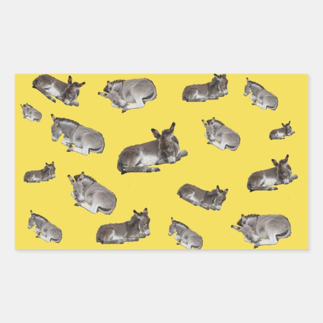 Sticker Rectangulaire Donkey Multi (Devant)