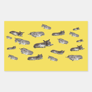 Sticker Rectangulaire Donkey Multi