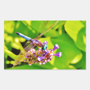 Sticker Rectangulaire Dragonfly de couleur arc-en-ciel sur une fleur ros