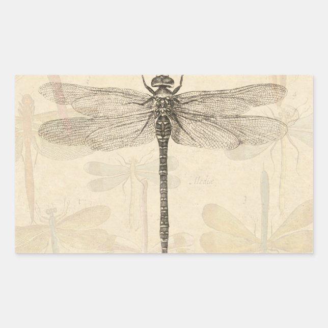 Sticker Rectangulaire Dragonfly Vintage Antique Classic Nature (Devant)