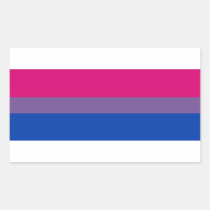 Sticker Rectangulaire Drapeau de la fierté bisexuelle