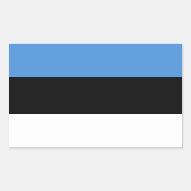 Sticker Rectangulaire Drapeau estonien/estonien (Devant)